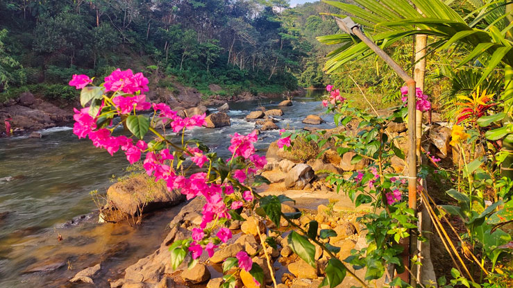 Muruppel Homestay in Pathanamthitta Peaceful Ambiance